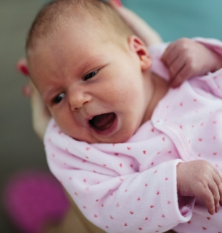 Turning head seeking/rooting