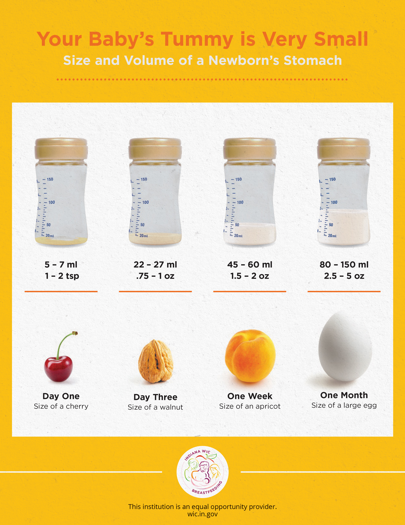 Your Babys Tummy is Very Small