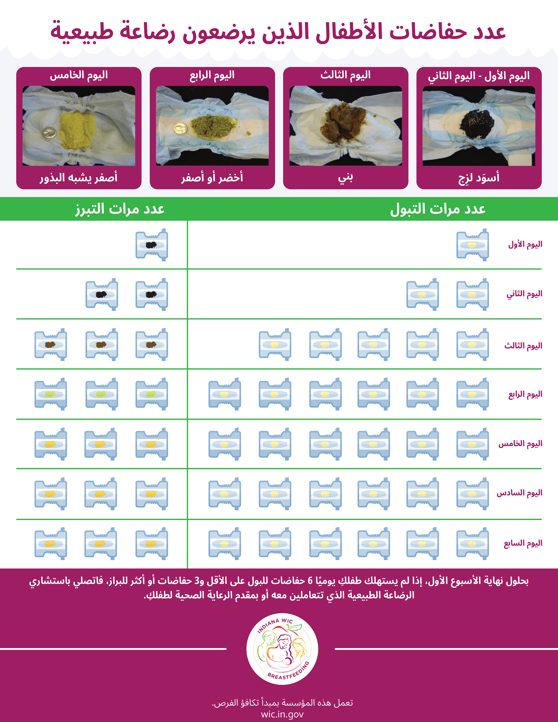 Your Babys Tummy is Very Small