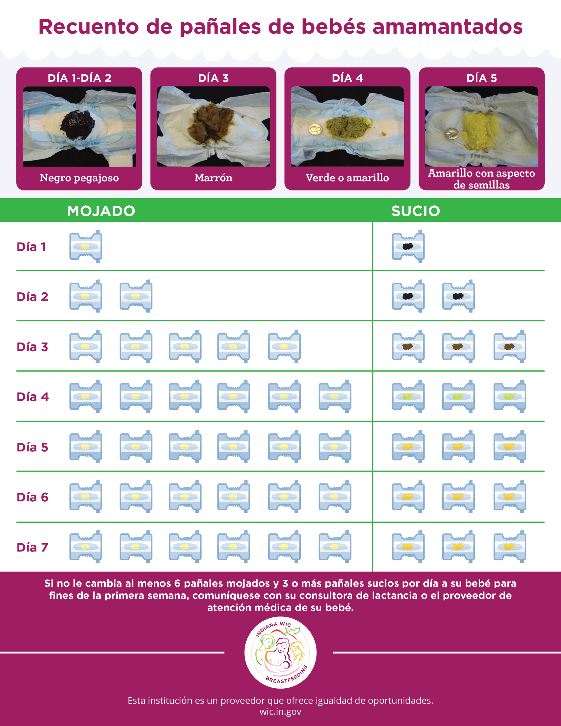 Your Babys Tummy is Very Small