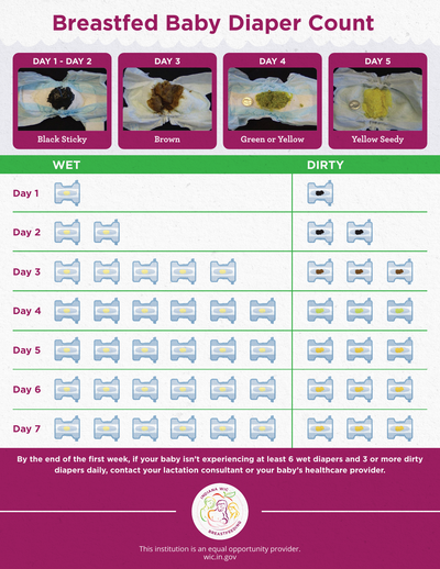 Breastfed Baby Diaper Count