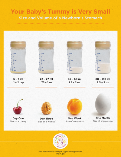 Your Baby’s Tummy is Very Small